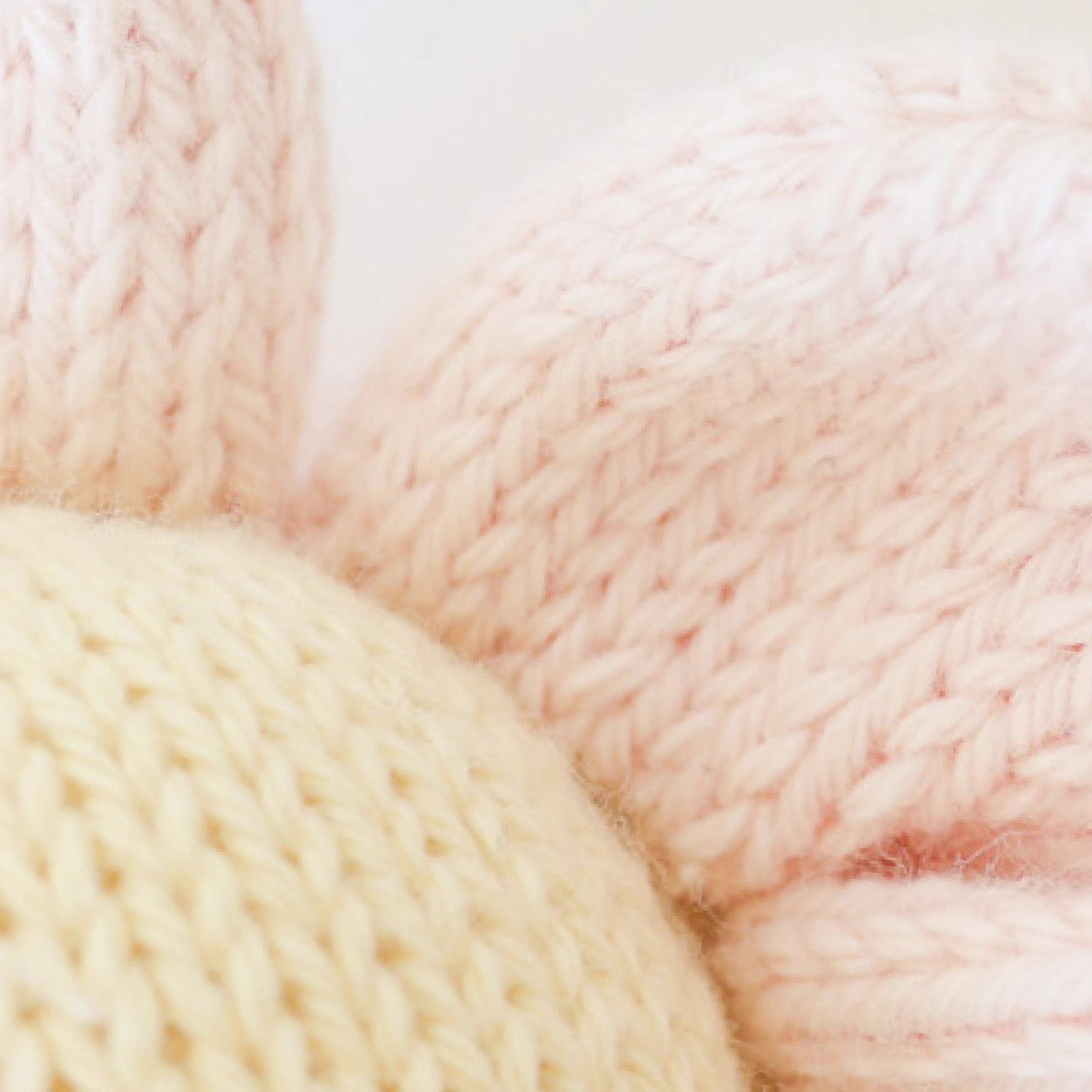 03_BabyDaisy_Pink-scaled-1.jpg