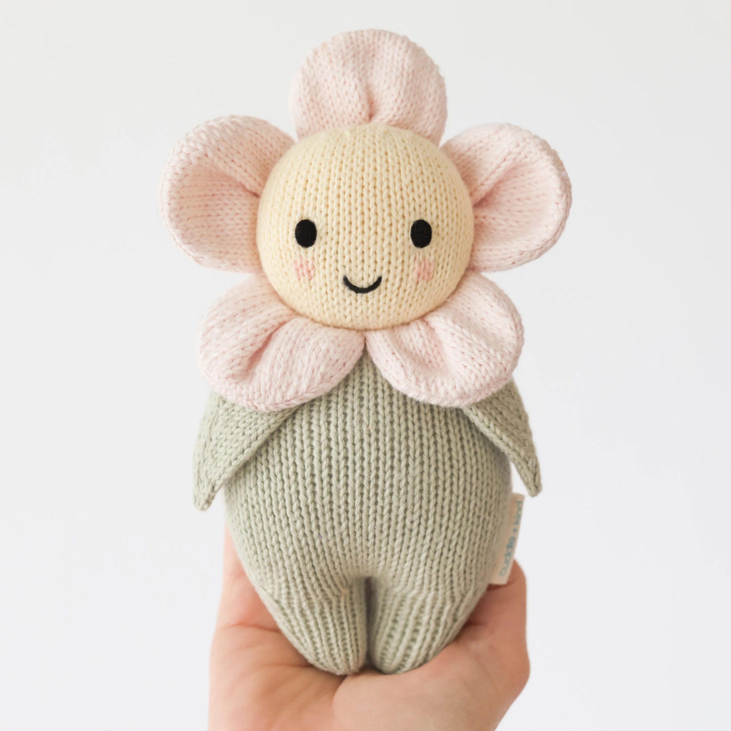 04_BabyDaisy_Pink-scaled-1.jpg