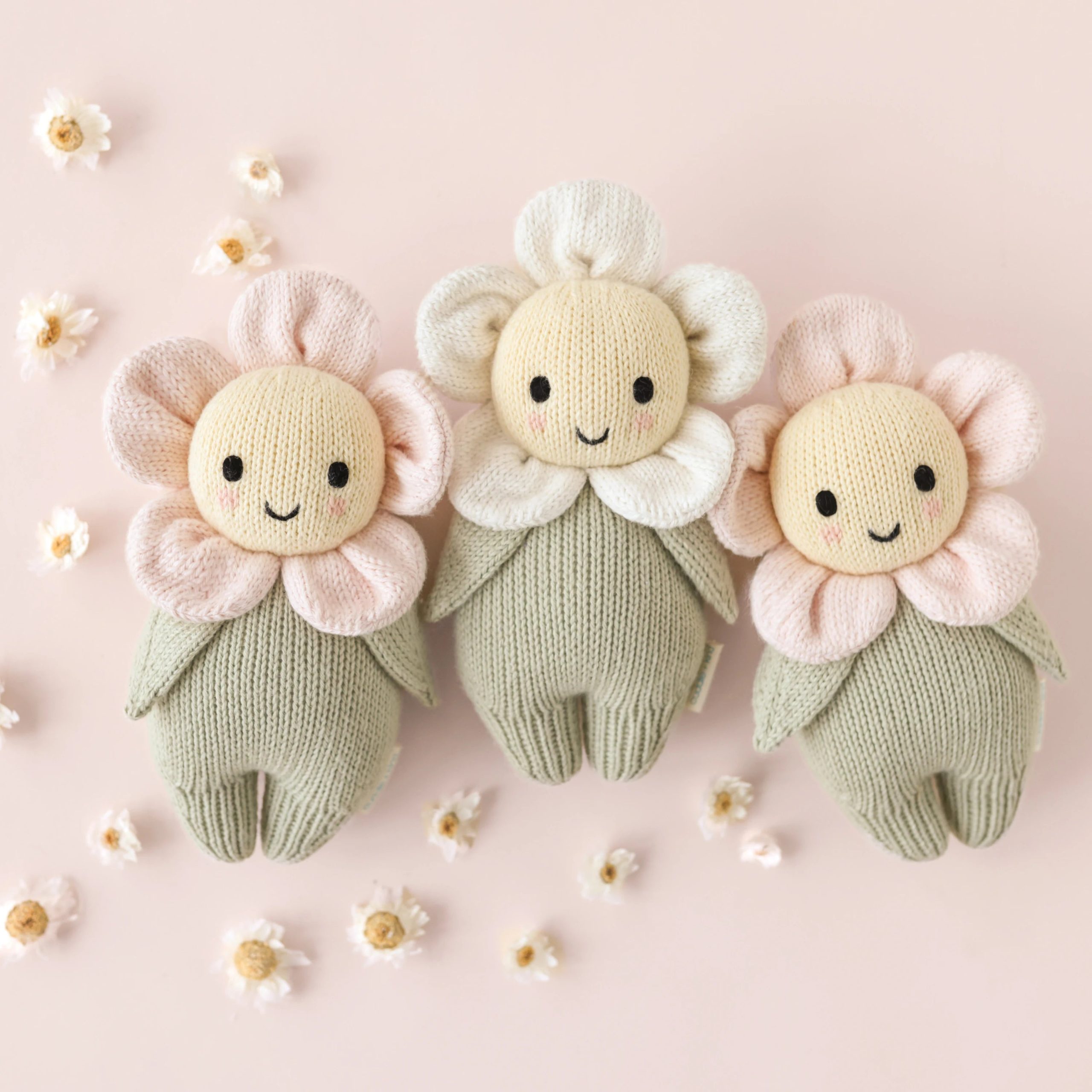 06_BabyDaisy_Pink-scaled-1.jpg