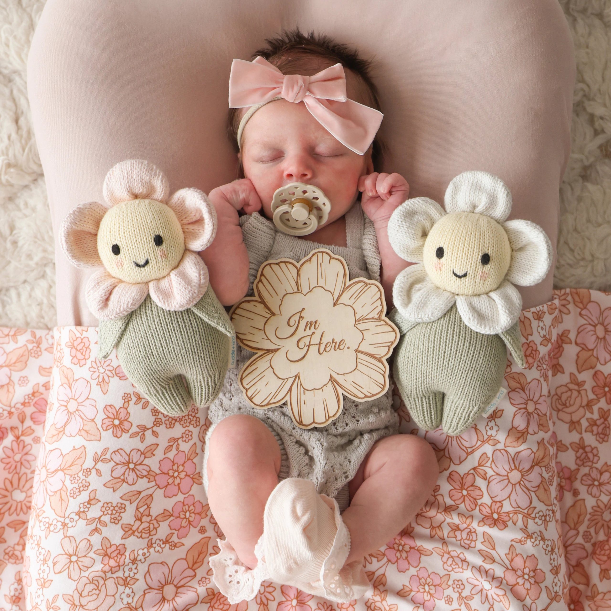 07_BabyDaisy_Pink-scaled-1.jpg
