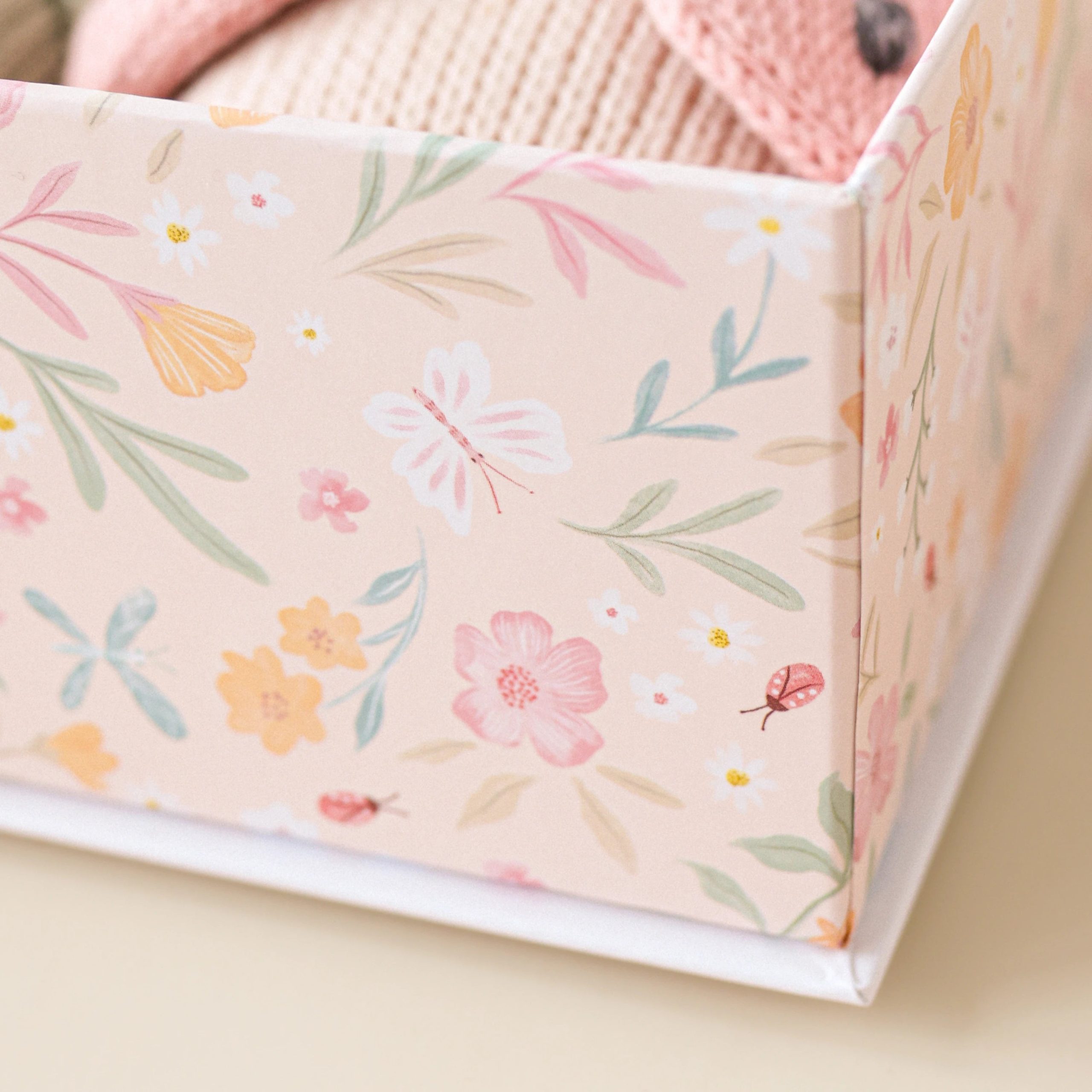 09_BabyDaisy_Pink-scaled-1.jpg