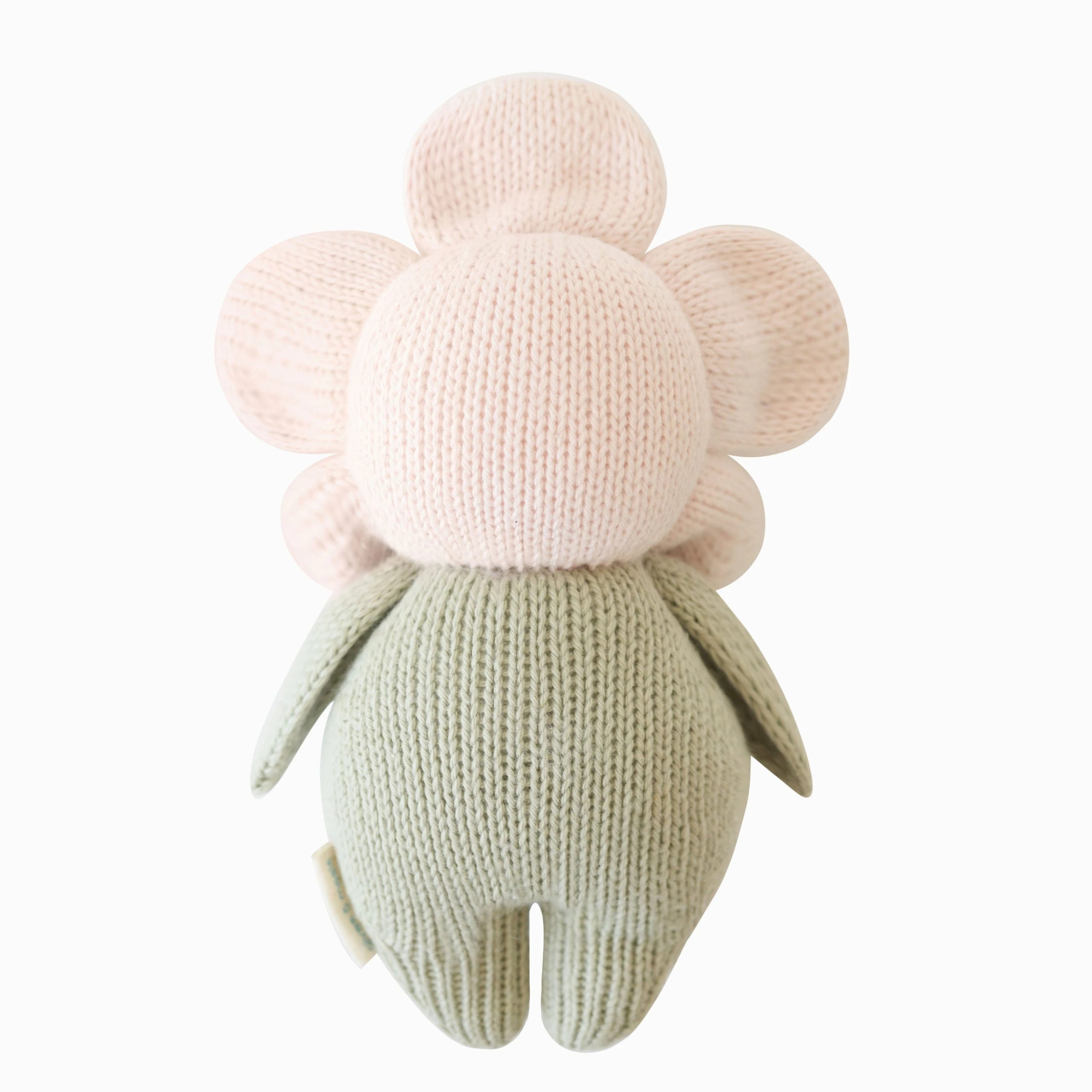 10_BabyDaisy_Pink-scaled-1.jpg