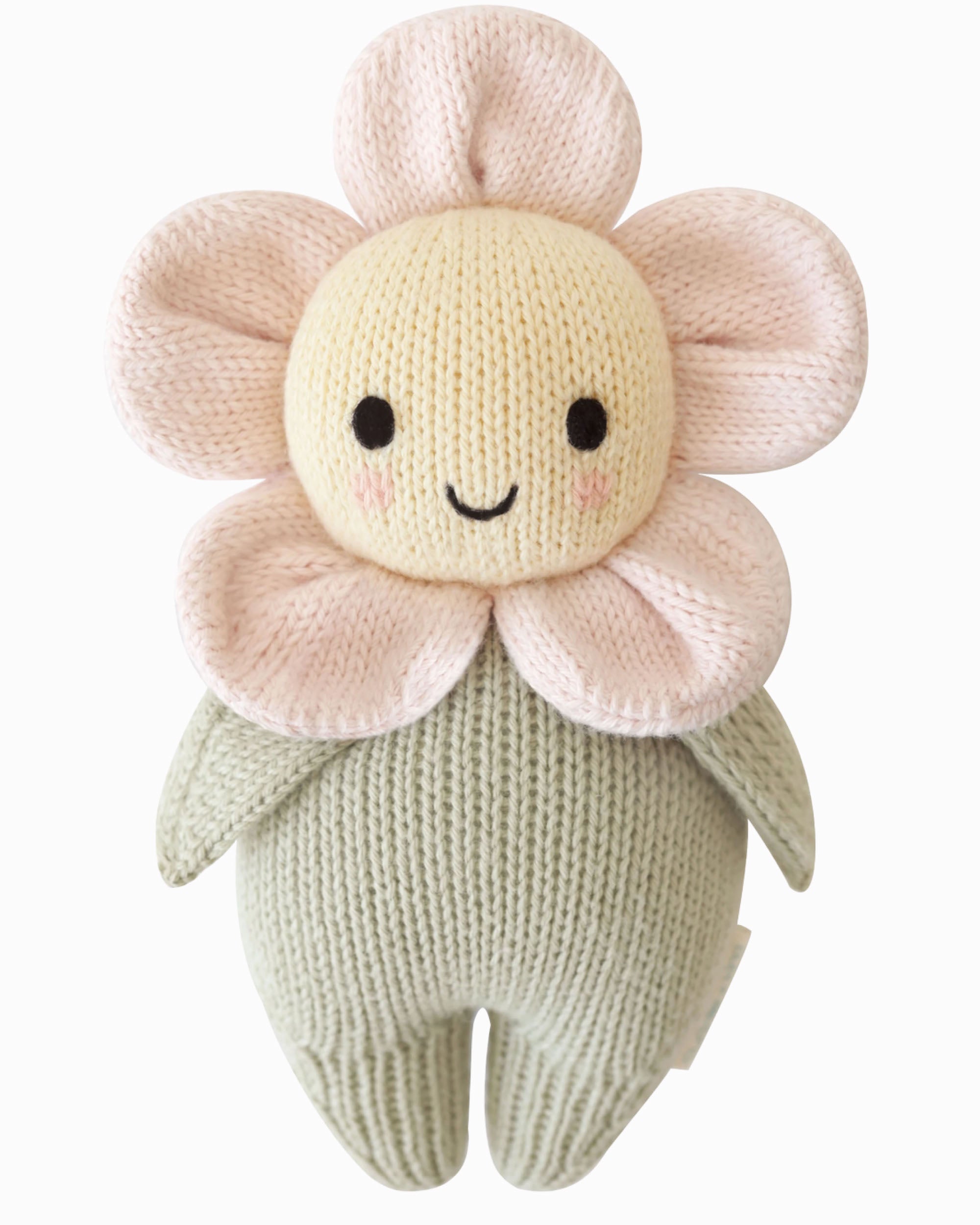 Babydaisypink.jpg